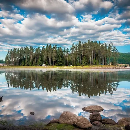 романтика форест Здравен курорт 3*