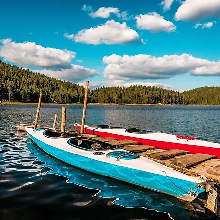 Romantica Forest ドスパット