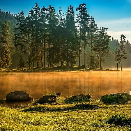 Romantica Forest Feriested Dospat