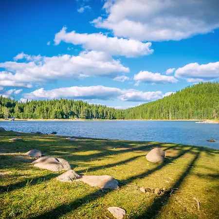 Feriested Romantica Forest