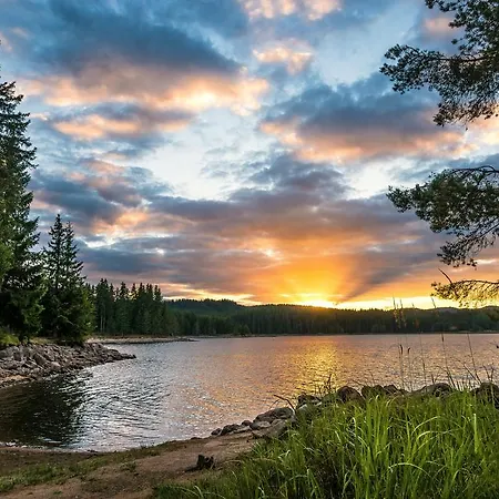 Θέρετρο Romantica Forest