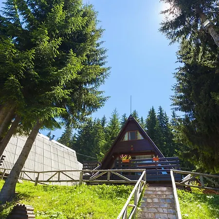 Romantica Forest Θέρετρο 3*