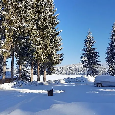 Romantica Forest リゾート