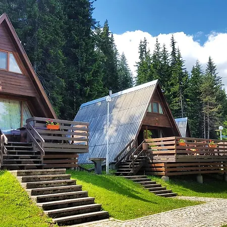 романтика форест 3*