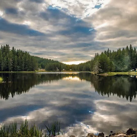 Romantica Forest Feriested