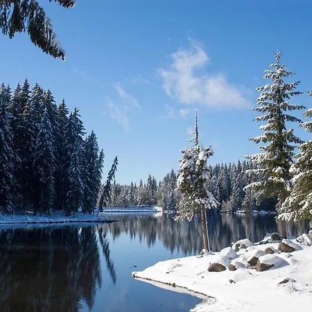 Feriested Romantica Forest Dospat