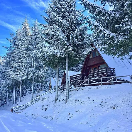 Romantica Forest Dospat