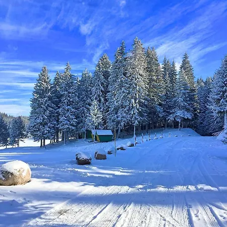 Romantica Forest Feriested