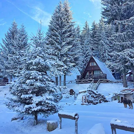 Feriested Romantica Forest 3*