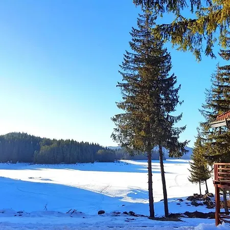 Romantica Forest Dospat