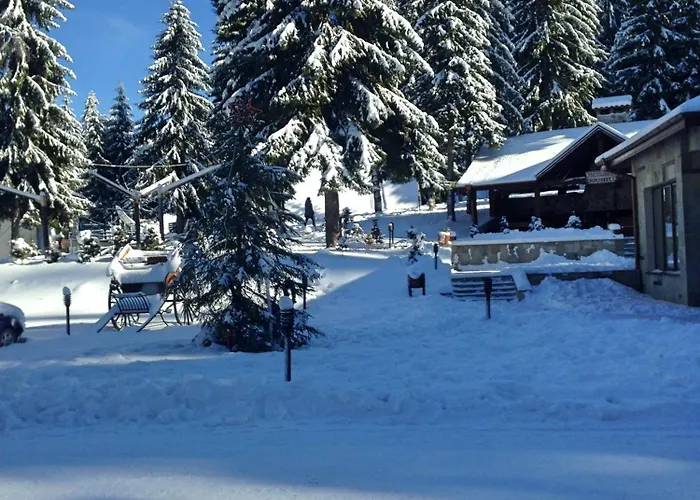 Resort Romantica Forest Dospat