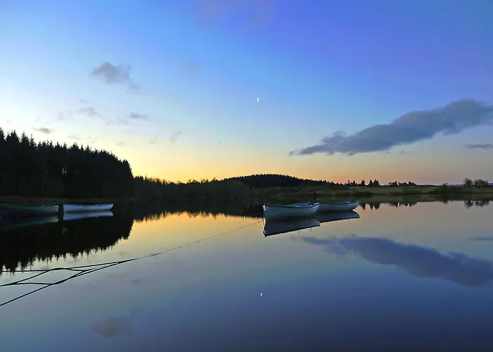 Resort Romantica Forest