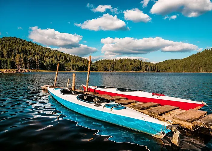 Romantica Forest Dospat