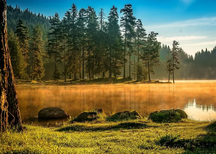 Romantica Forest Resort Dospat