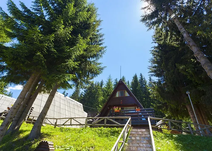 Romantica Forest Resort 3*