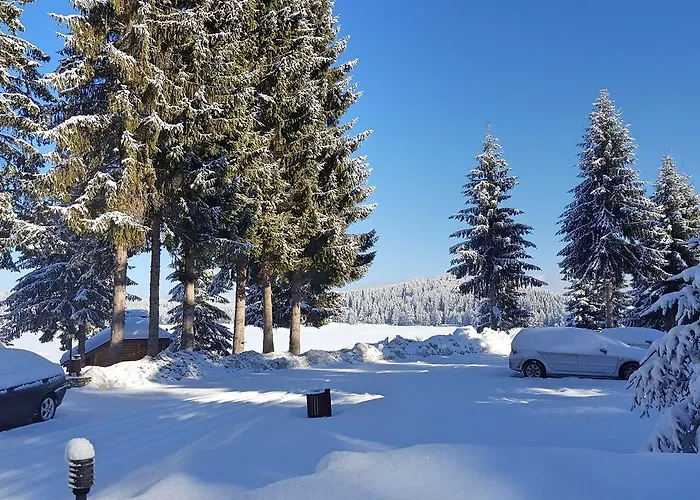 Romantica Forest Resort