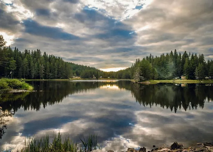 Romantica Forest Resort